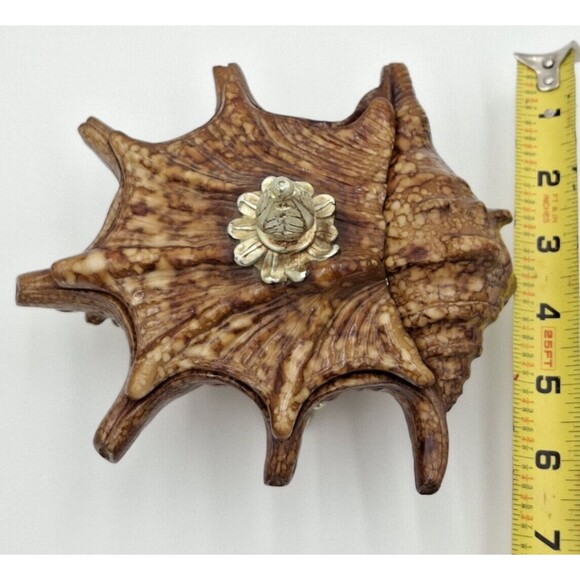 Shell Decorative Beach Decor Conch Trinket Box with Lid  Jewelry Key Dish Resin - Picture 11 of 16